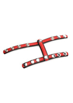 Cock Gear Leather Snap-On Harness