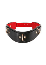 Fetish and Fashion Lillith Collar - Black/Gold