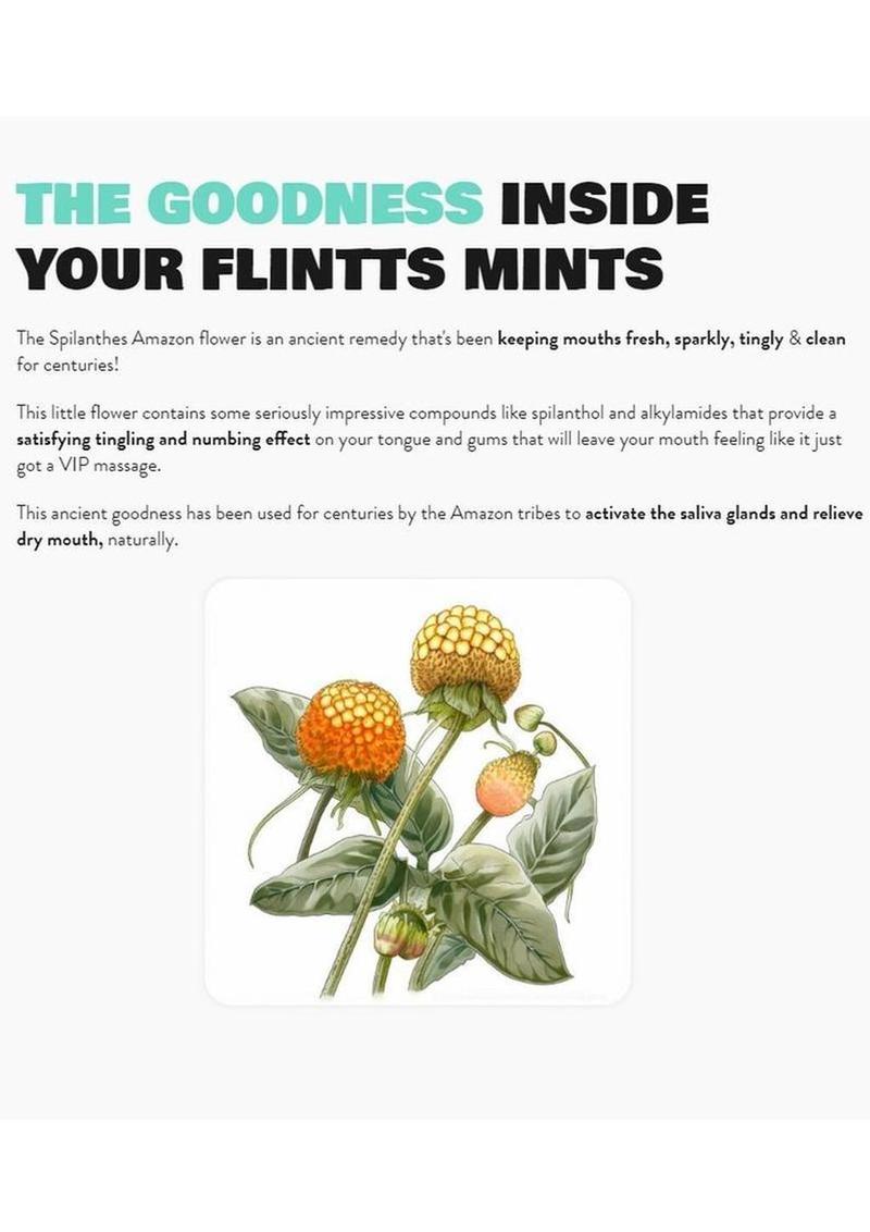 Flintts Mints Mouth Watering Oral Delights - Sour Tangerine